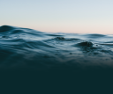 seaheader.png