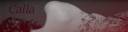 red signature.jpg