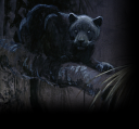 jag.png