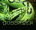 Greensnake.png