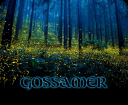 Firefly-Forest.png