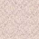 Backdrop2.jpg