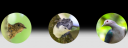 boxtop3.png