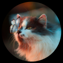 cat.PNG