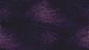 purple.jpg