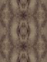 background1.jpg