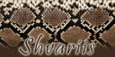 ShvarBoxTop.png