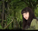 ines1.png