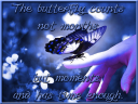 butterfly.png