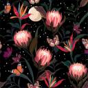 Protea-Butterflies.jpg