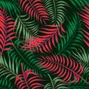 pink-ferns.jpg