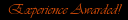 Experience.png