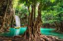 junglefalls.jpg