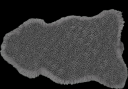 Sharkskin.png