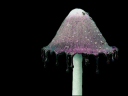 Mage Cap.png