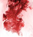 Blood in the water.jpg