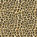 jaguar-skin-seamless-pattern_37925-806.jpg