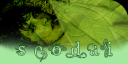 SeoBoxTop.png