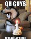 tumblr_lh7cao2j1F1qge97ro1_400.gif