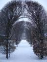 Snowy_Day_Stock__12_by_Tefee_stock.jpg