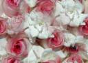 1-wedding-bouquet-pink-roses.jpg