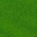 BGGrass.jpg