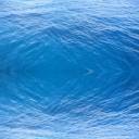 background1a.jpg