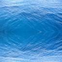 background1a.jpg