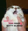 scared_cat-1.jpg