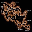 Underground-Forest.jpg