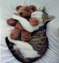kittyhug.jpg