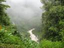 jungle_valley02.jpg
