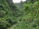 jungle_valley_01.jpg
