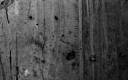 Gray Background.jpg