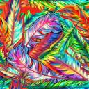 9393777-bright-seamless-background-with-multicolor-feathers.jpg