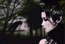 gothic_fairy-21415.jpg