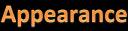 11Name .jpg