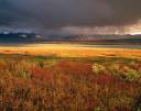 fall-tundra-storm-clouds_8694.jpg