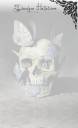 skull bg 4.jpg