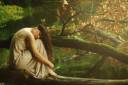 autumn,forest,tree,woman,photo,enchanted,wood-2337945d50f187242ac8078efa4c8468_h.jpg