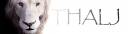 Thalj's Sig 1.jpg