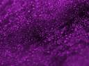 Purple Rain.jpg
