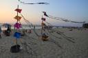 kitefestival.jpg