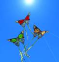 butterflykites.jpg