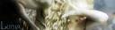 Lunia's Sig 1.jpg