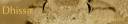 Arabian-horned-viper-head-detail.jpg
