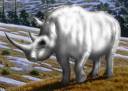white rhino.jpg