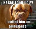 ambulance.jpg